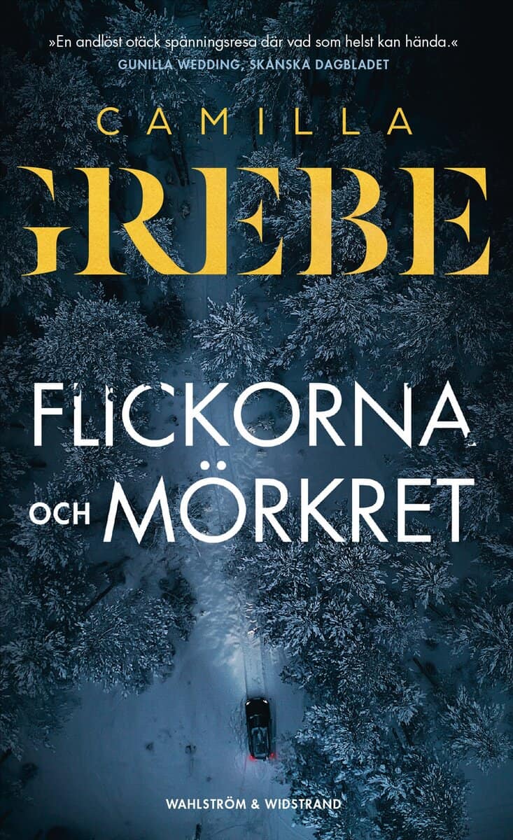 Camilla Grebe : Flickorna och Mörkret