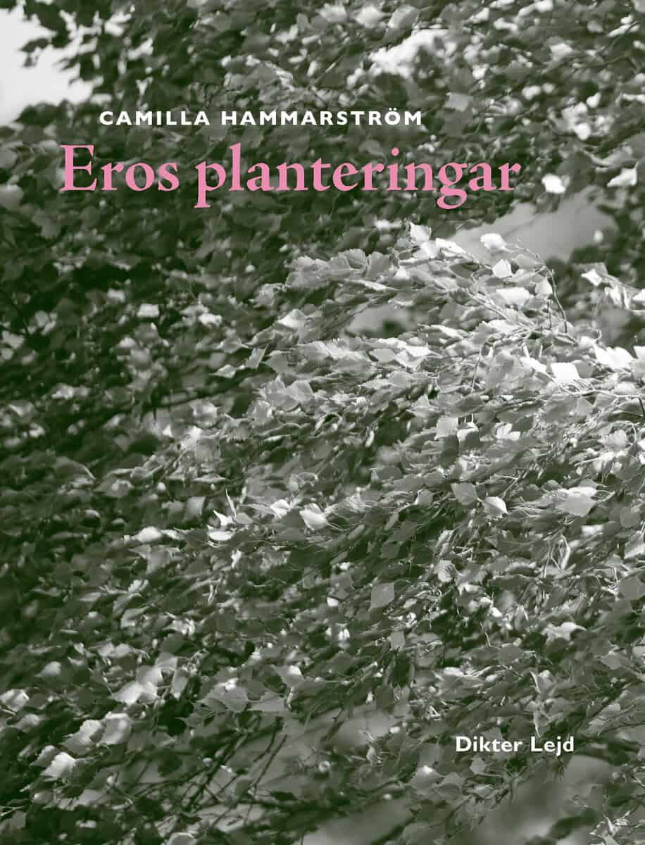 Camilla Hammarström : Eros planteringar