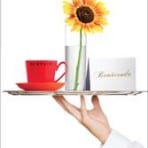 Camilla Olsson : Service och bemötande