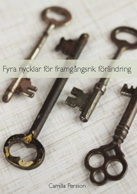 Camilla Persson : Fyra nycklar för framgångsrik förändring