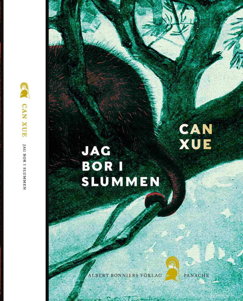 Can Xue : Jag bor i slummen