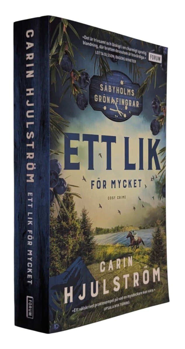 Carin Hjulström : Ett lik för mycket