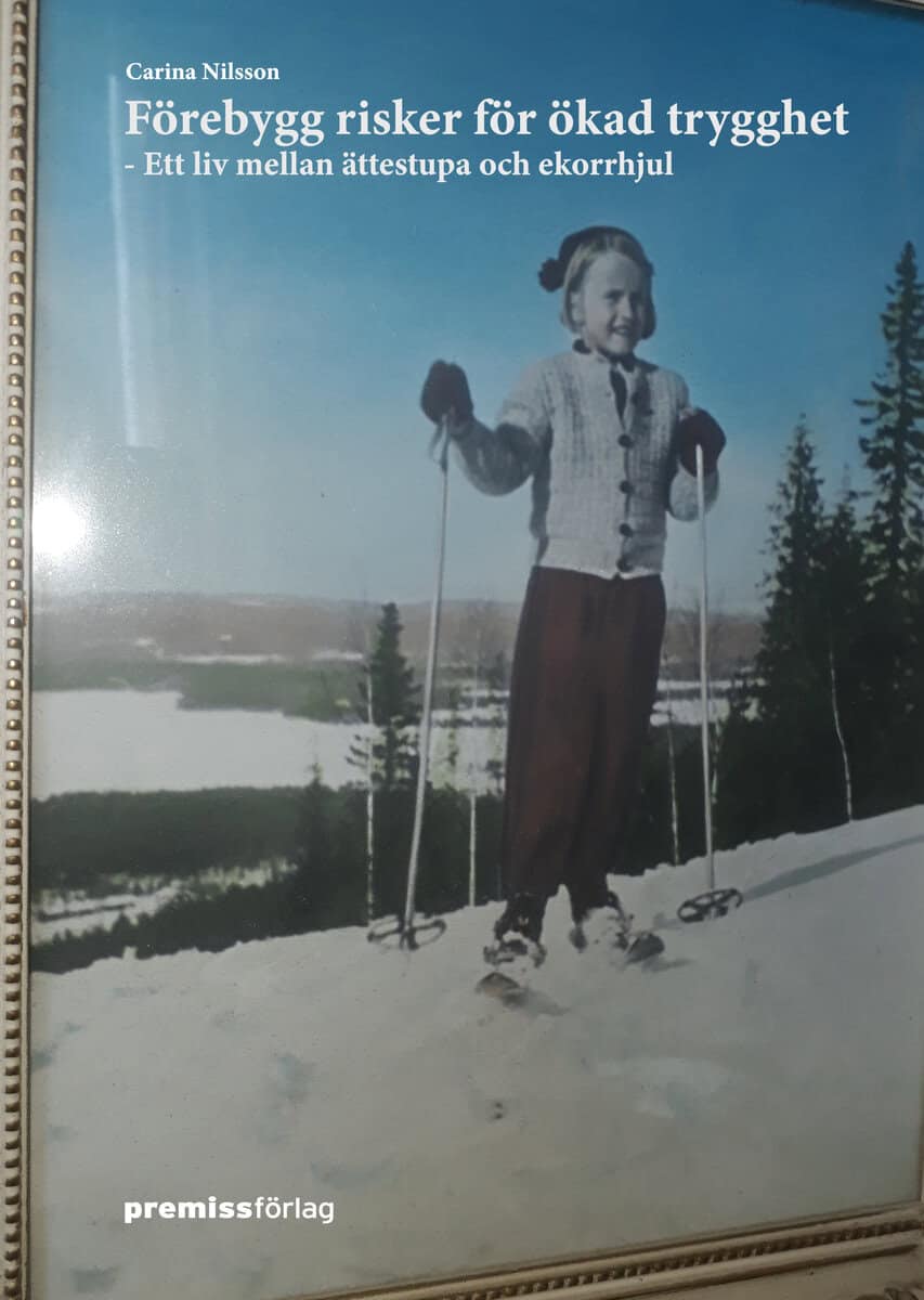 Carina Nilsson : Förebygg risker för ökad trygghet