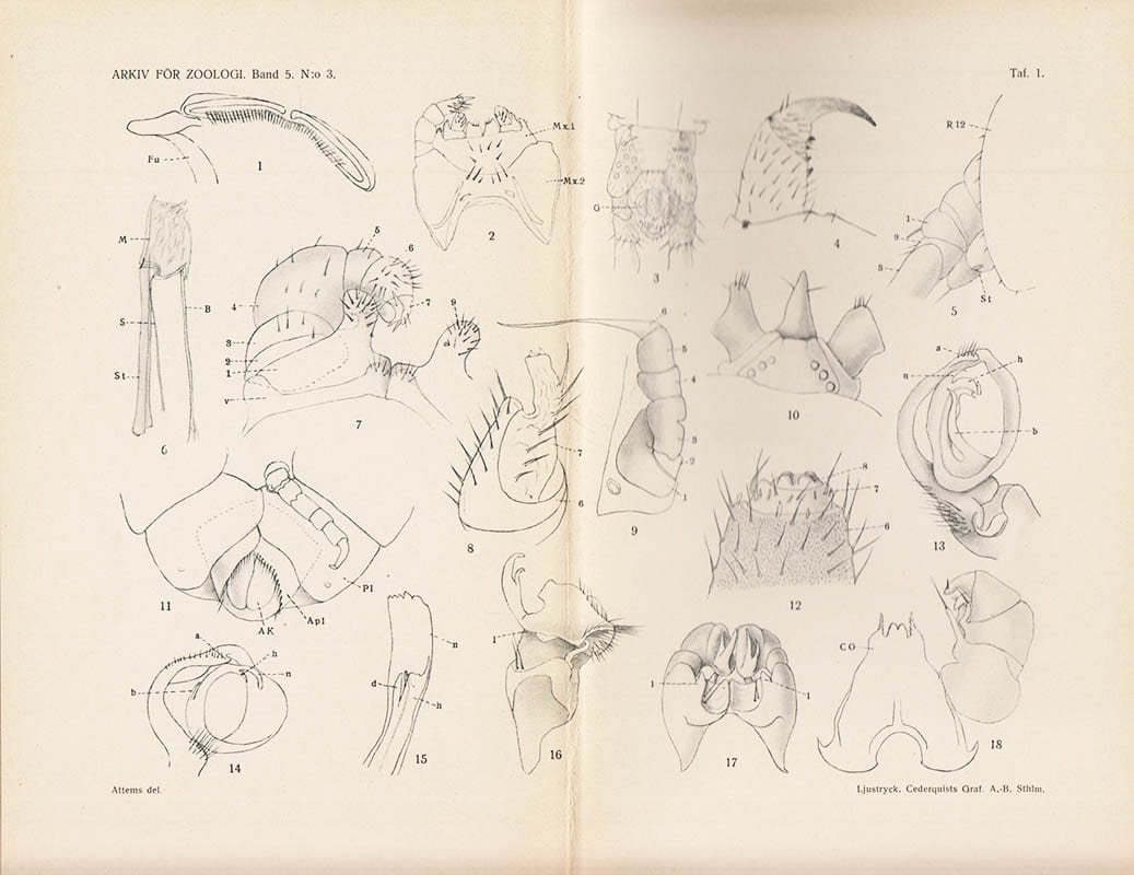 Carl Attems : Die Myriopoden der Vega-Expedition. Mit 5 Tafgeln und 27 Textfiguren