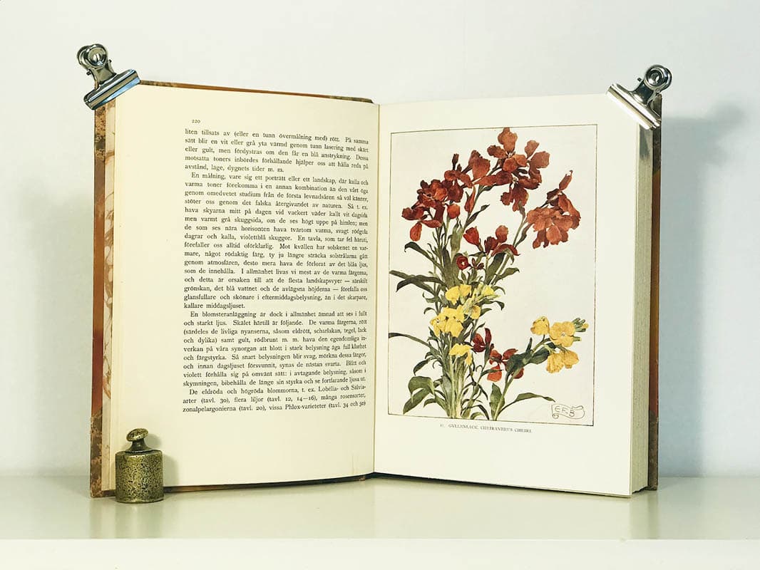 Carl Axel Magnus Lindman : Vi och våra blommor