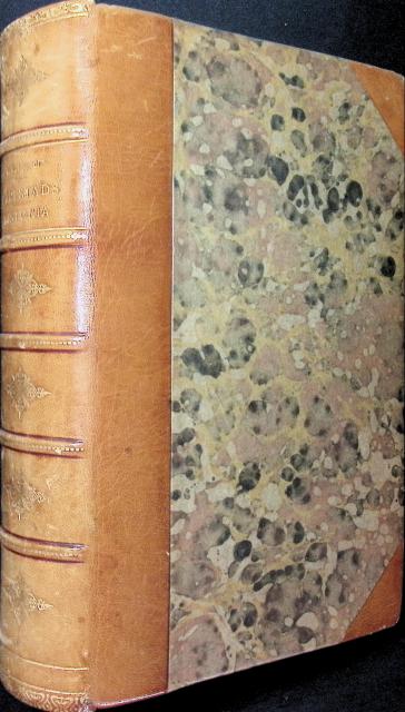 Carl Emanuel Nygen : Karlstads brand 1865, och stadens senare historia