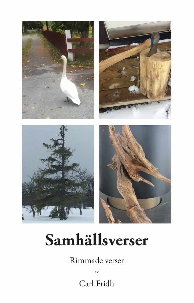 Carl Fridh : Samhällsverser