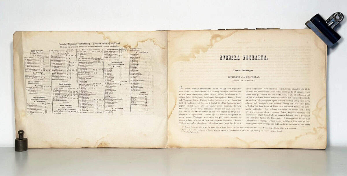 Carl J. Sundevall : Svenska foglarna