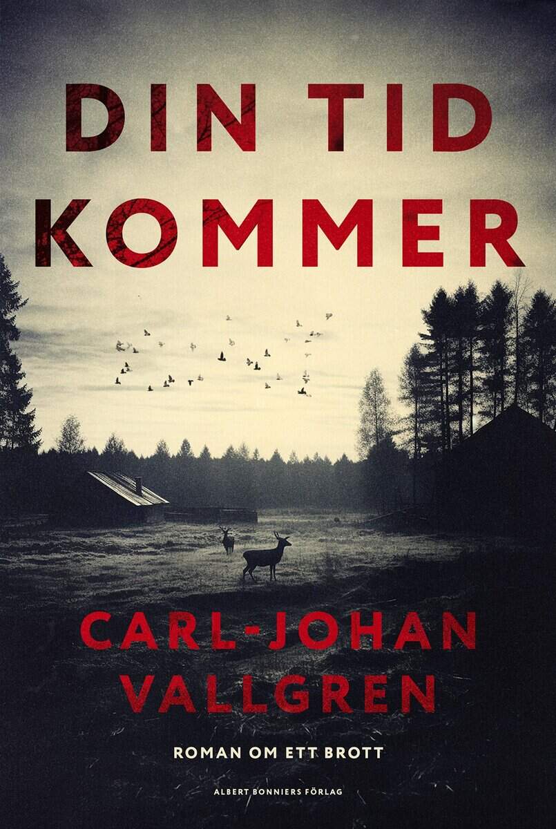Carl-Johan Vallgren : Din tid kommer