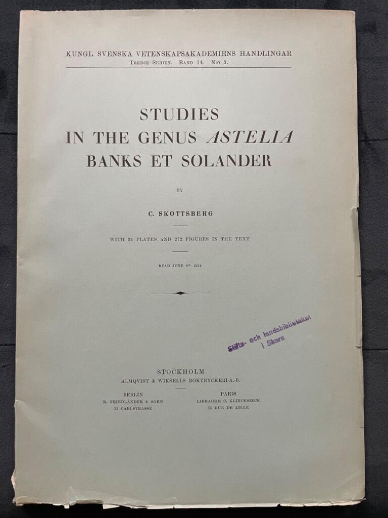 Carl Skottsberg : Studies in the genus Astelia Banks et Solander.