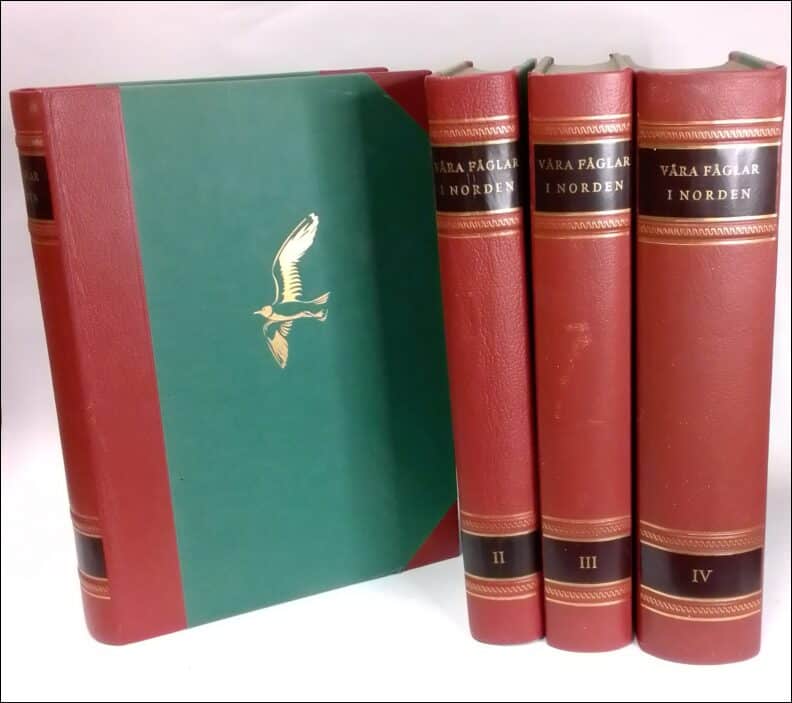 Carl Torsten Holmström : Våra fåglar i Norden