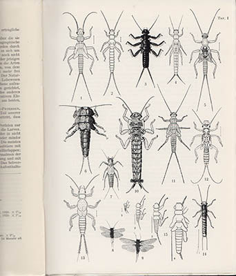 Carl Wesenberg-Lund : Biologie der Süsswasserinsekten