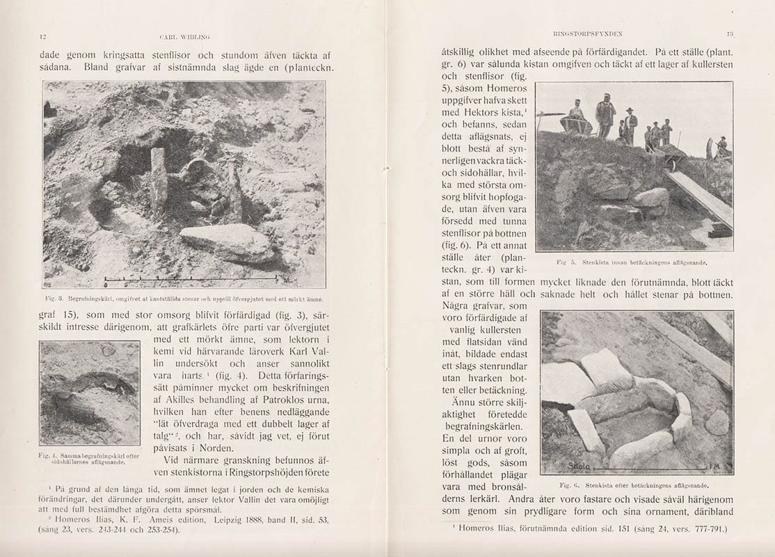 Carl Wibling : Ringstorpsfynden