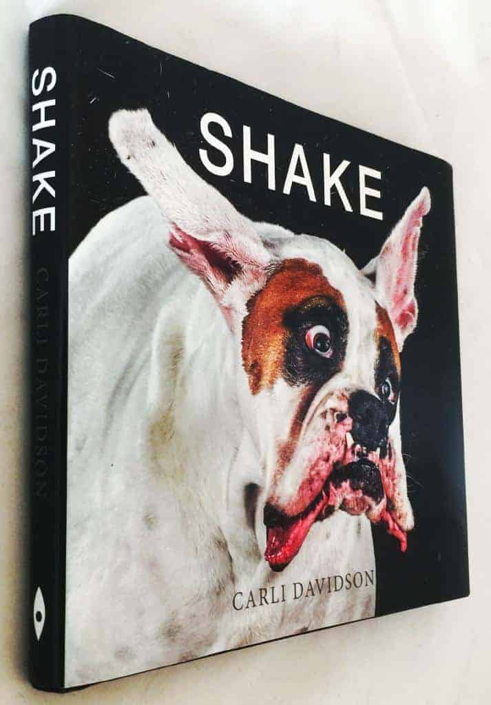Carli Davidson : Shake