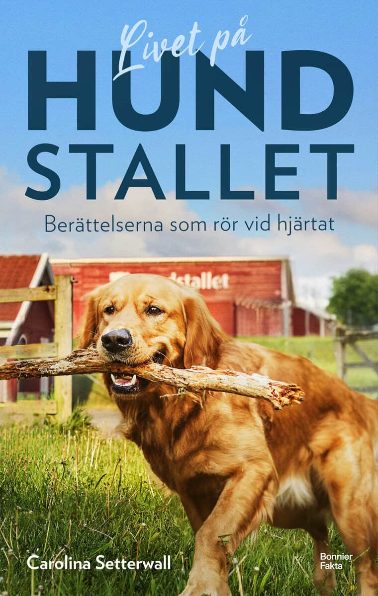 Carolina Setterwall : Livet på Hundstallet : berättelserna som rör vid hjärtat