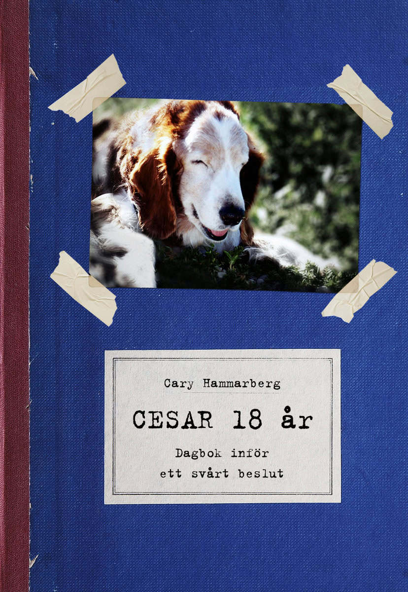 Cary Hammarberg : Cesar 18 år : dagbok inför ett svårt beslut