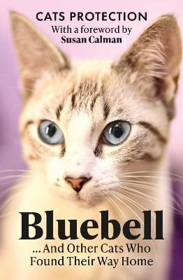 Cat Protection : Bluebell ... And Other Cats Who Found Their Way Home