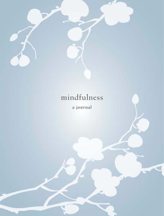 Catherine Price : Mindfulness
