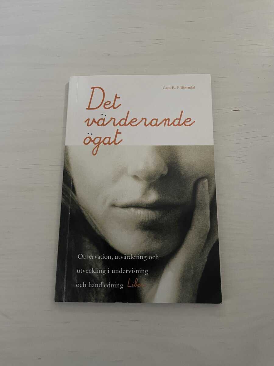 Cato R. P. Bjørndal : Det värderande ögat