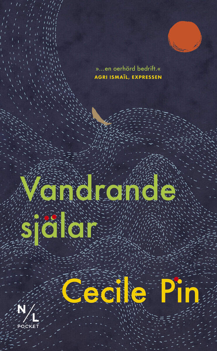 Cecile Pin : Vandrande själar