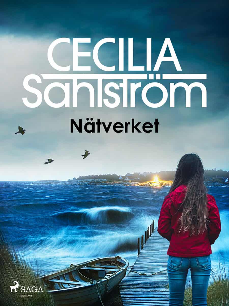 Cecilia Sahlström : Nätverket