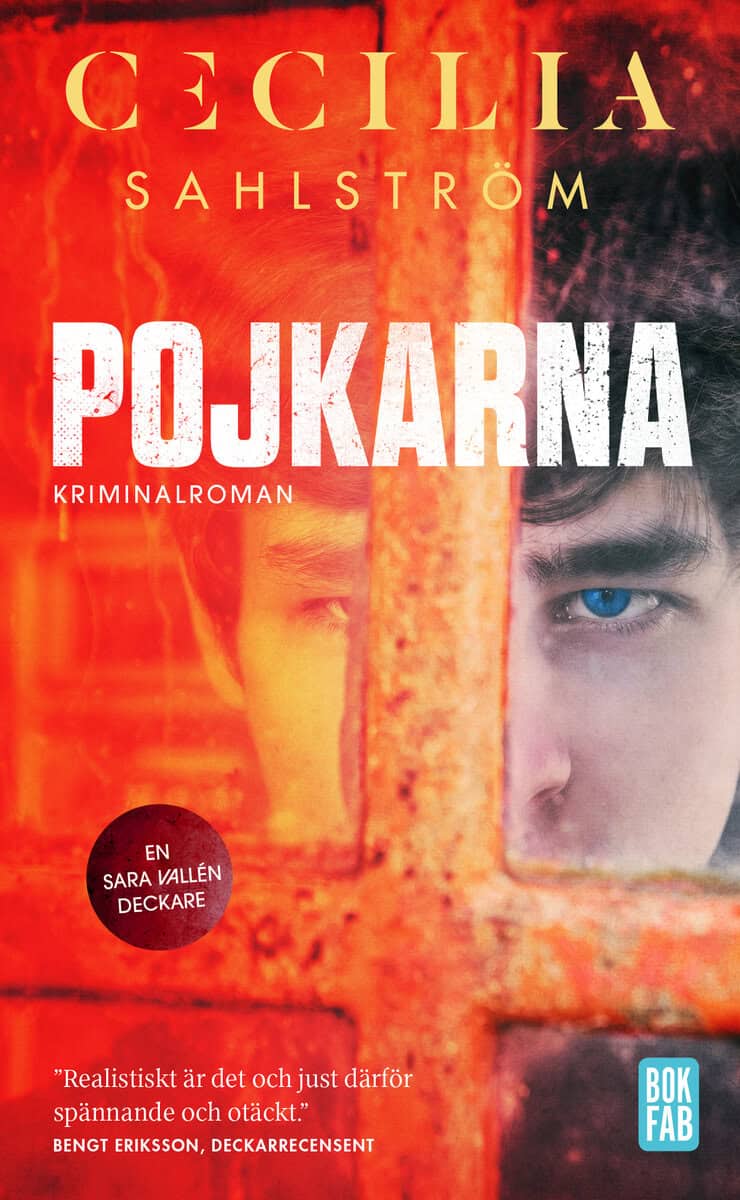 Cecilia Sahlström : Pojkarna