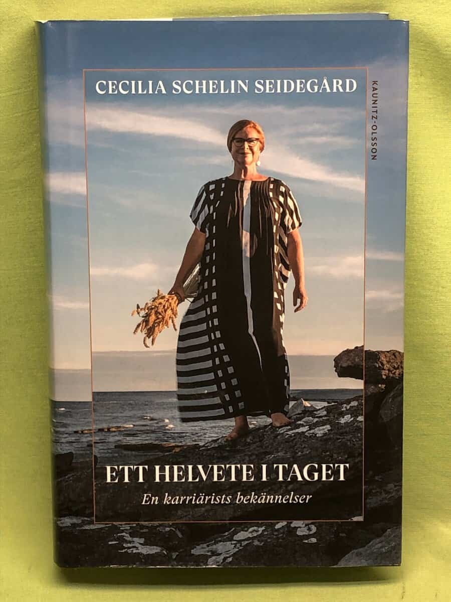 Cecilia Schelin Seidegård : Ett helvete i taget en karriärists bekännelser