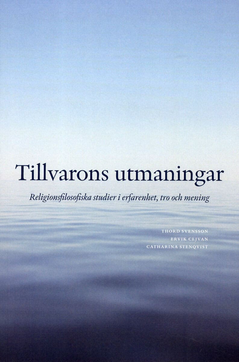Cejvan, Ervik ; Edqvist, Erik ; Fridlund, Patrik ; Fritzon, Ulrica ; Hammarström, Matz ; Hyrknäs, Gerth ; Lembke, Martin ; Modée, Johan ; Stenqvist, Catharina ; Stille, Leif ; Svensson, Thord : Tillvarons utmaningar