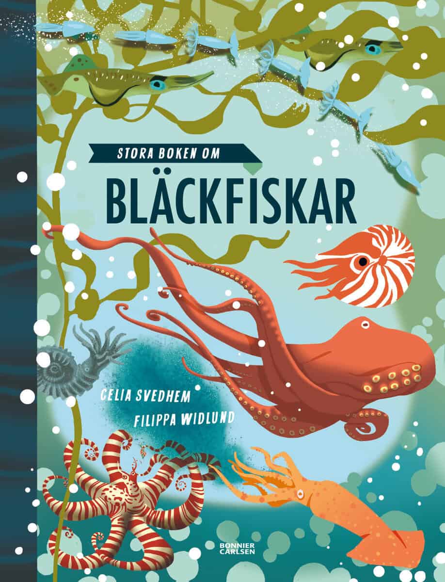 Celia Svedhem : Stora boken om bläckfiskar