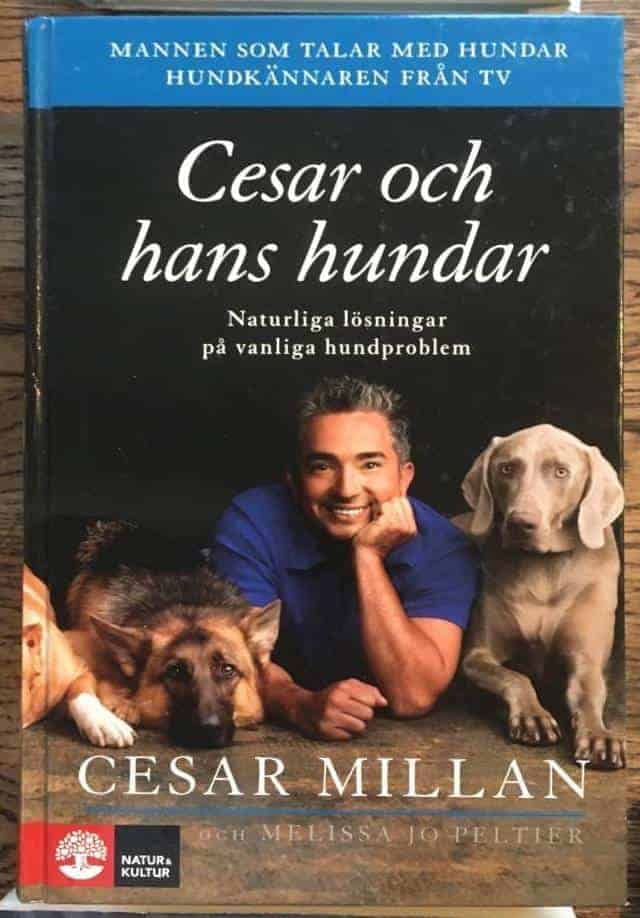 Cesar Millan : Cesar och hans hundar