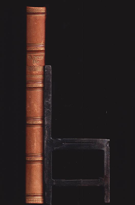 Charles Darwin : Die verschiedenen Blüthenformen an Pflanzen der nämlichen Art. Von Charles Darwin. Mit 15 Holzschnitten. Aus dem Englischen übersetzt von Victor Carus (Julius Victor, 1823-1903)