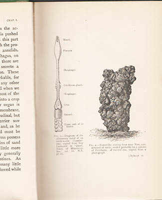 Charles Darwin : The Formation of Vegetable Mould, through the Action of Worms, with Observations of the Habits. Thirteenth thousand with illustrations