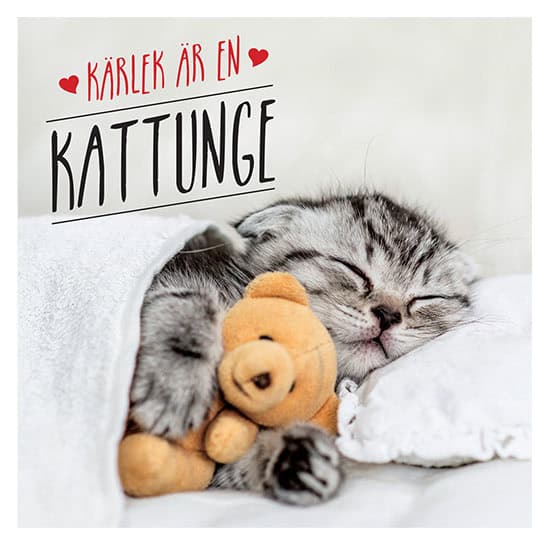 Charlie Ellis : Kärlek är en kattunge