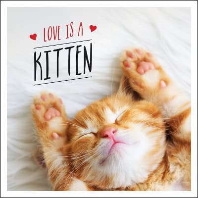 Charlie Ellis : Love is a Kitten