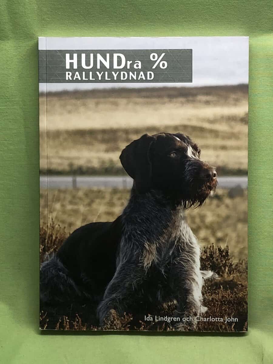 Charlotta John ; Ida Lindgren : Hundra % rallylydnad