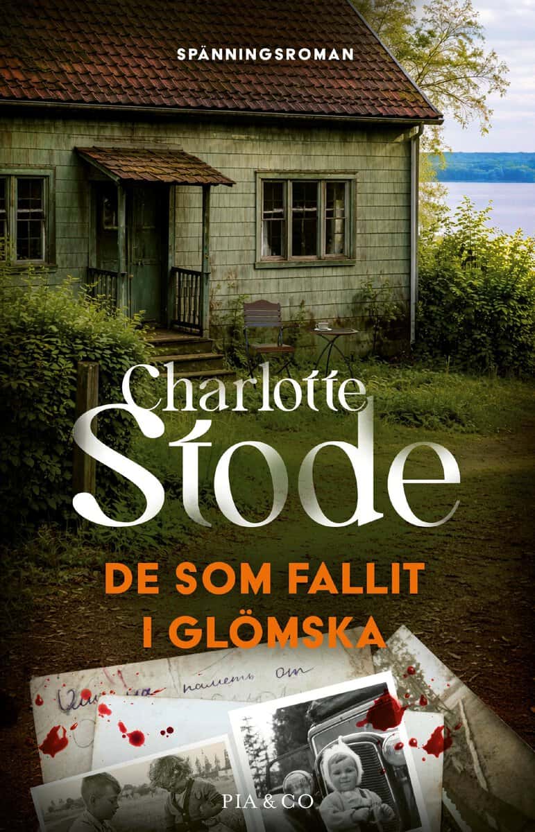 Charlotte Stode : De som fallit i glömska