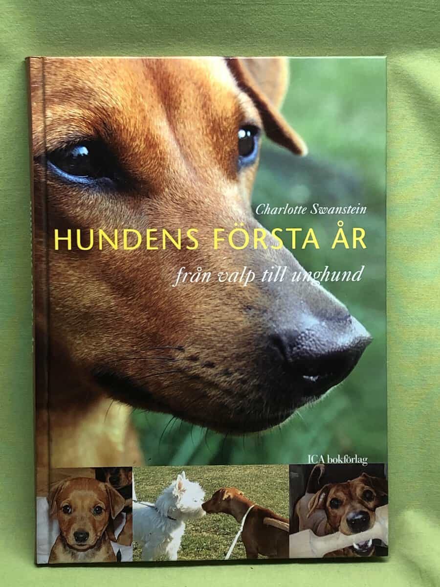 Charlotte Swanstein : Hundens första år