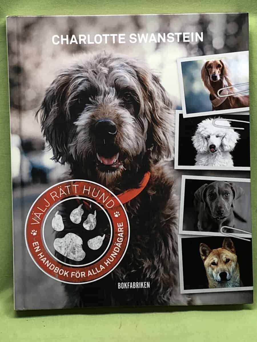 Charlotte Swanstein : Välj rätt hund
