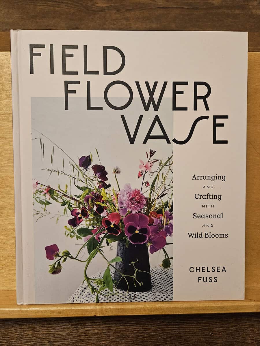 Chelsea Fuss : Field, flower, vase