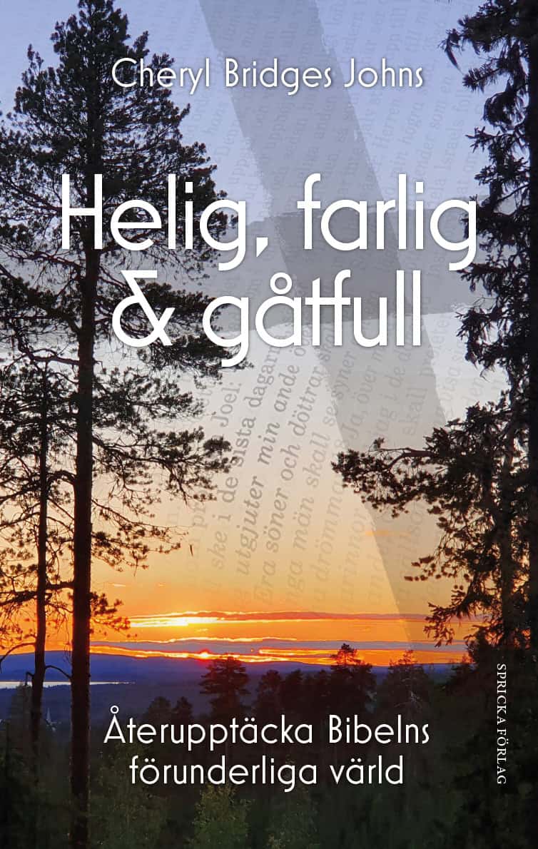 Cheryl Bridges Johns : Helig, farlig & gåtfull : återupptäcka Bibelns förunderliga värld