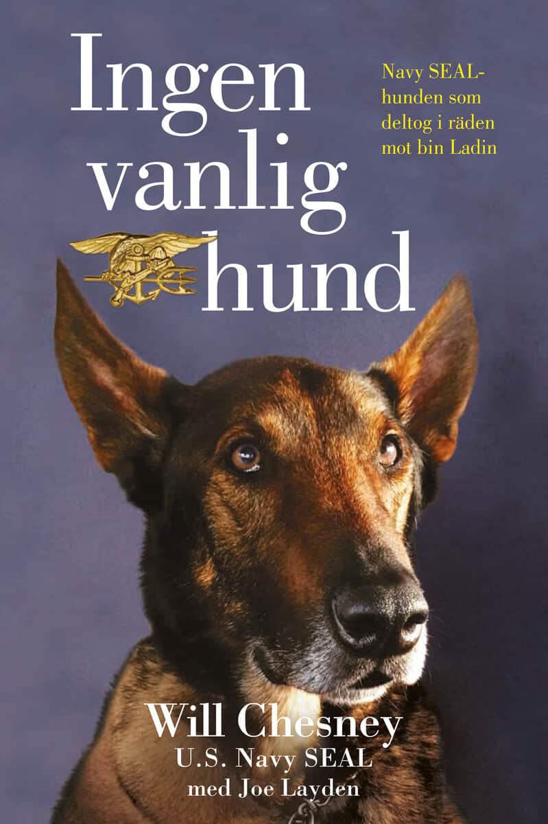Chesney, Will ; Layden, Joe : Ingen vanlig hund