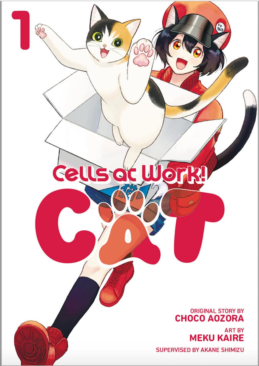 Choko Aozora : Cells at Work! Cat 1
