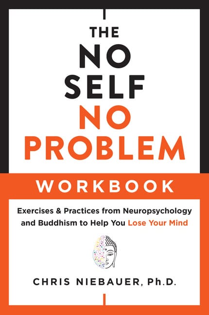 Chris Niebauer : No Self, No Problem Workbook