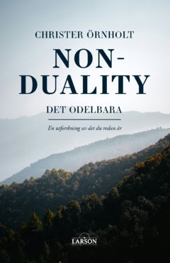 Christer Örnholt : Non-duality – det odelbara