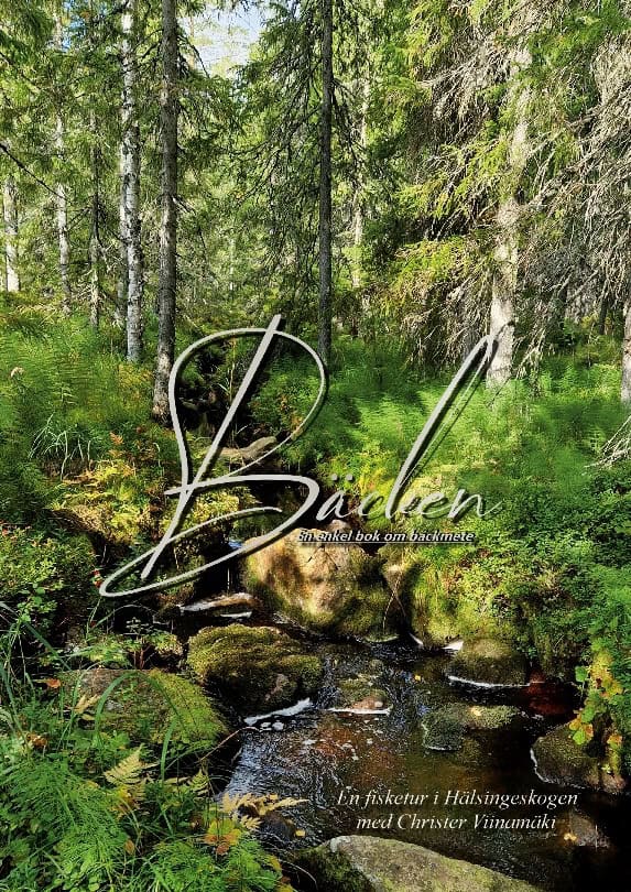 Christer Viinamäki : Bäcken
