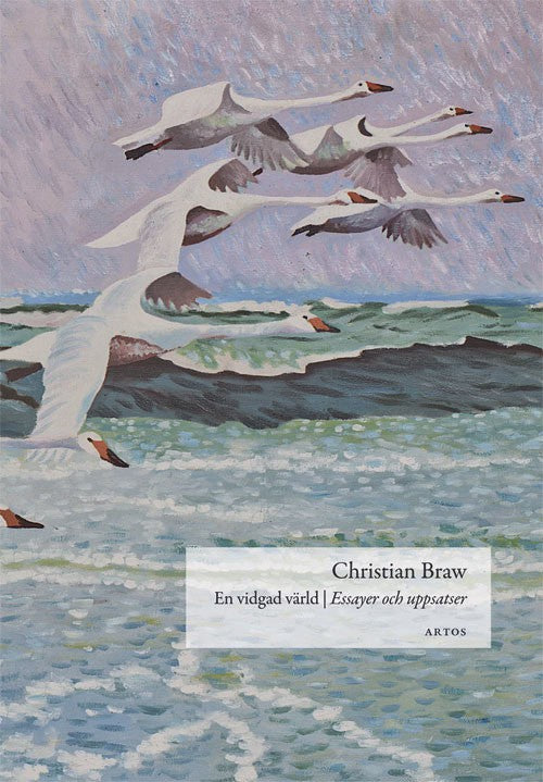 Christian Braw : En vidgad värld