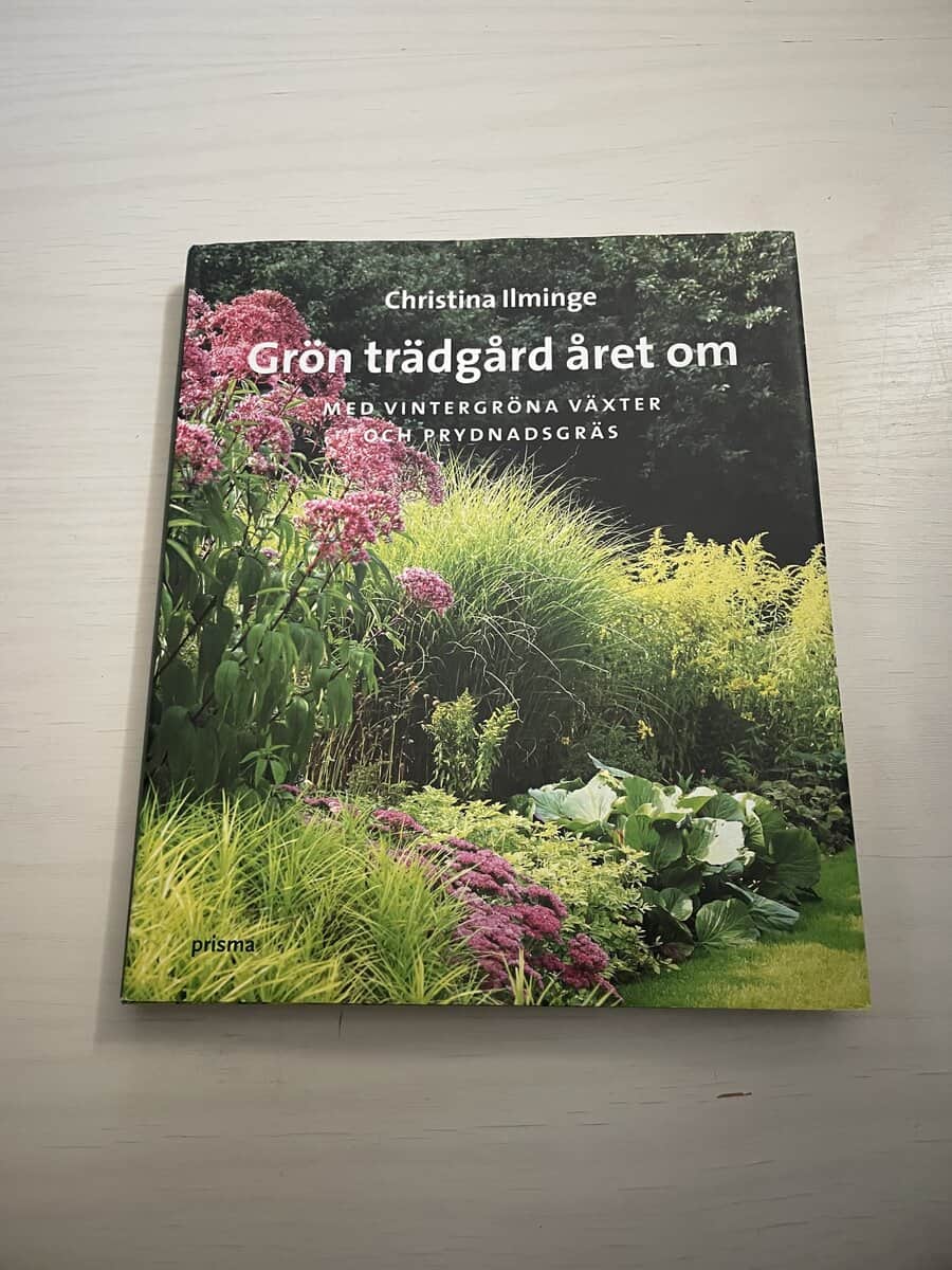 Christina Ilminge : Grön trädgård året om med vintergröna växter och prydnadsgräs
