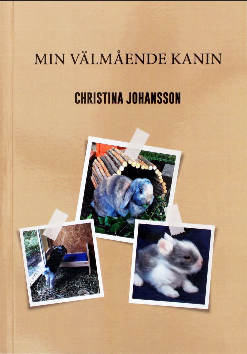 Christina Johansson : Min välmående kanin