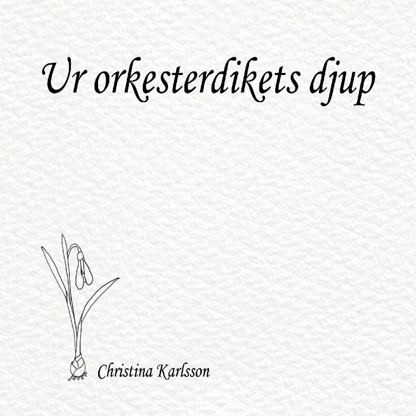 Christina Karlsson : Ur orkesterdikets djup