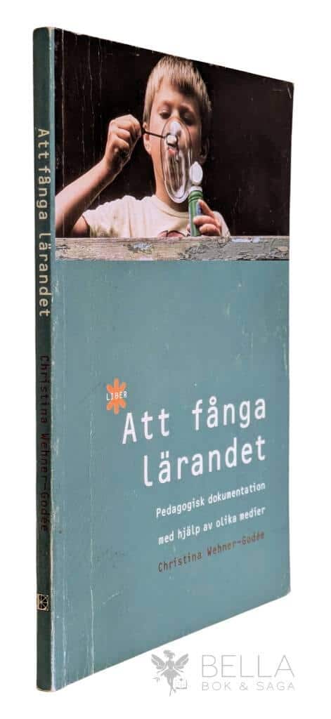 Christina Wehner-Godée : Att fånga lärandet